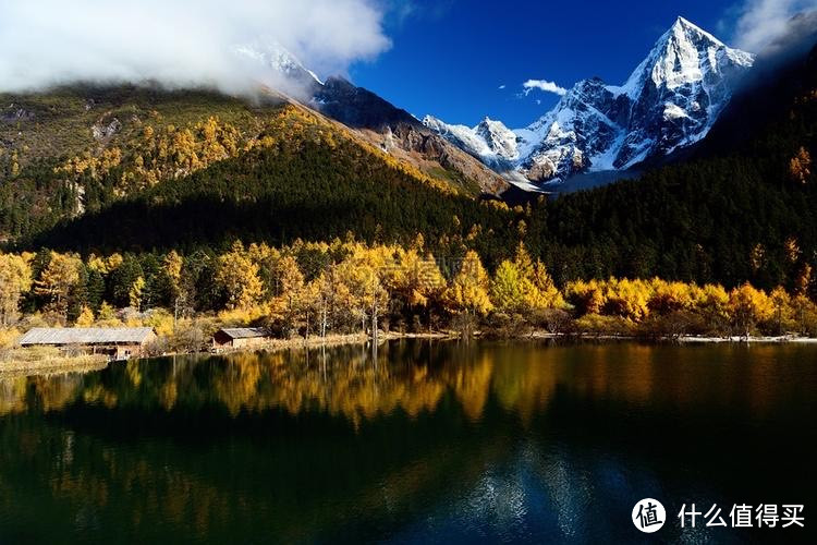 环保型猫砂研究：探讨新型环保猫砂材料及其优缺点